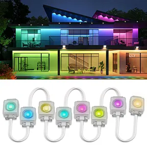 Festival Decoration Lighting DC36V Outdoor Waterproof RGB LED Pixel Light Strip